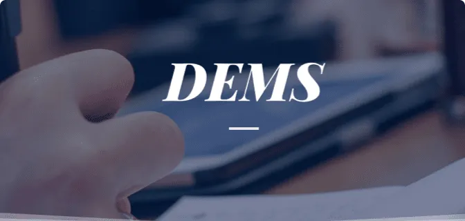 DEMS team