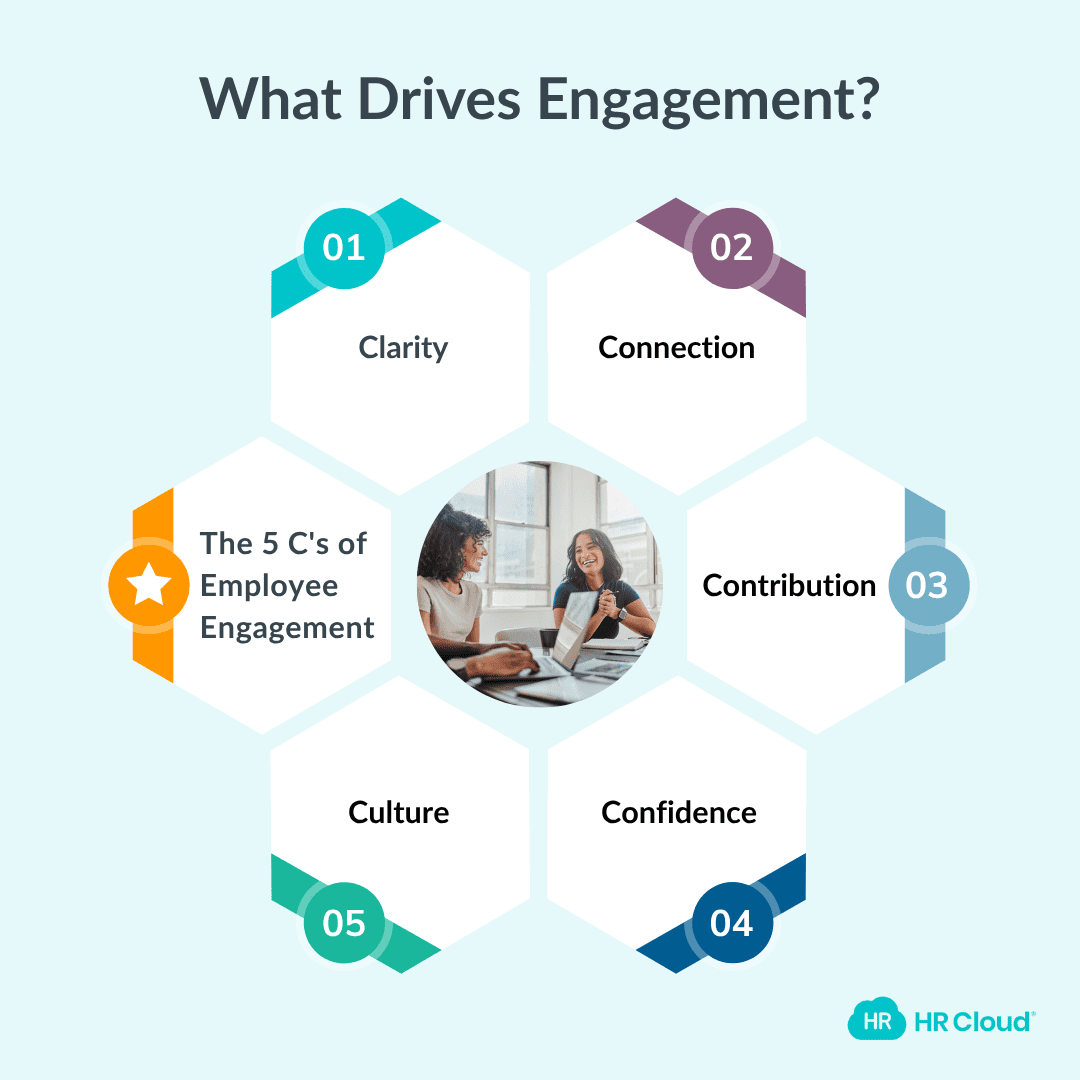 What Drives Engagement?