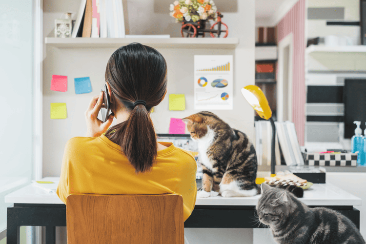 woman in office with cats